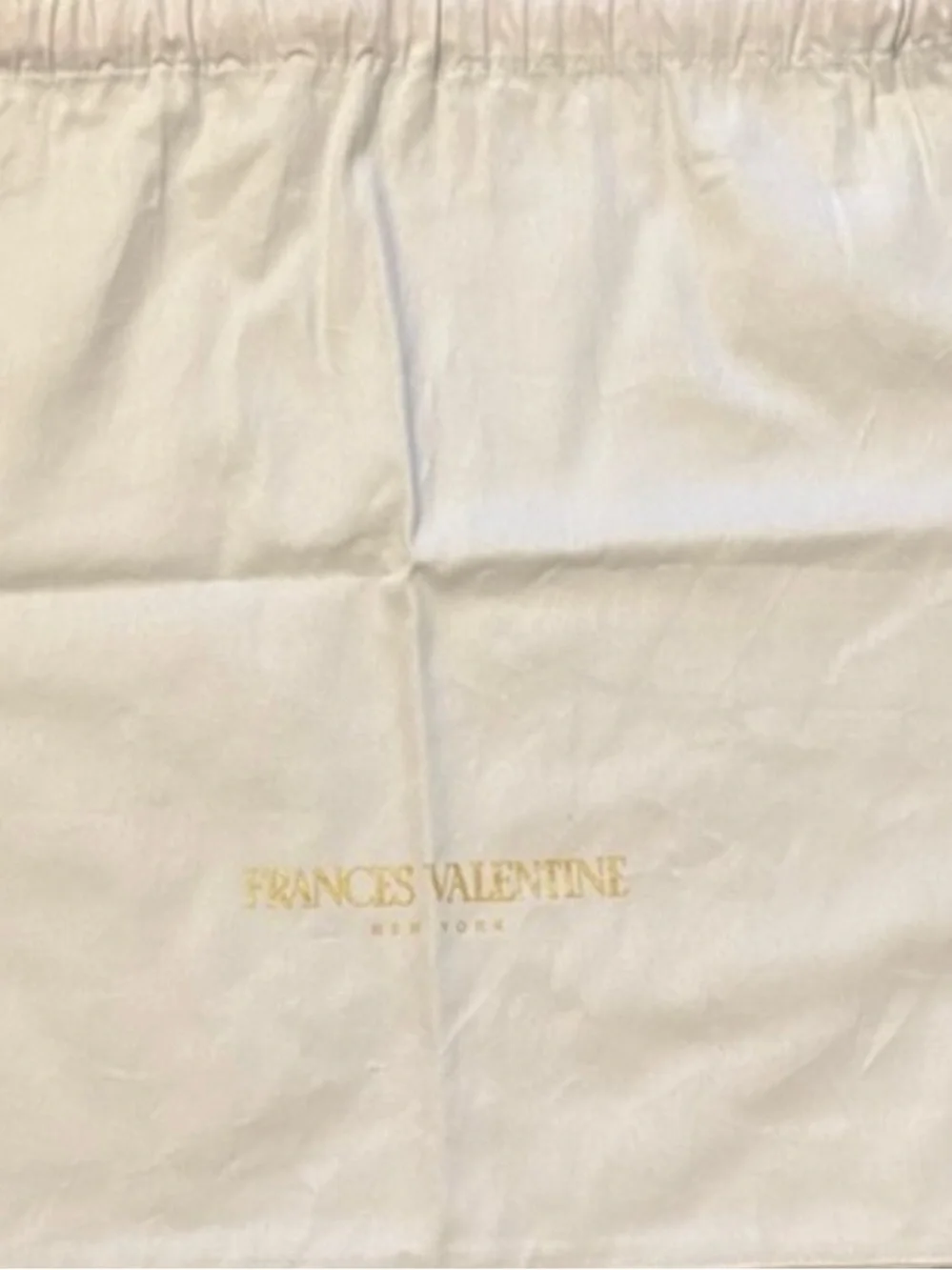 NWOT Frances Valentine - New York Dust Bag
